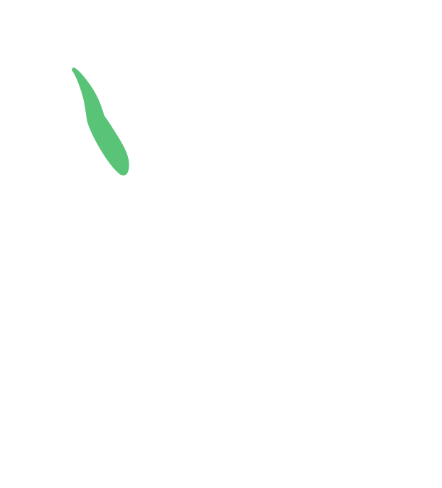 TechApp