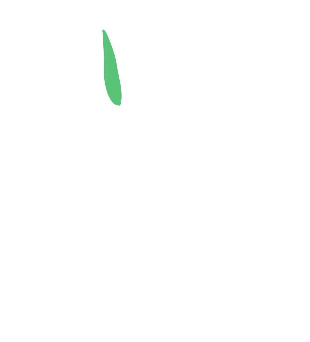 TechApp